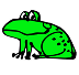 Frog Icon