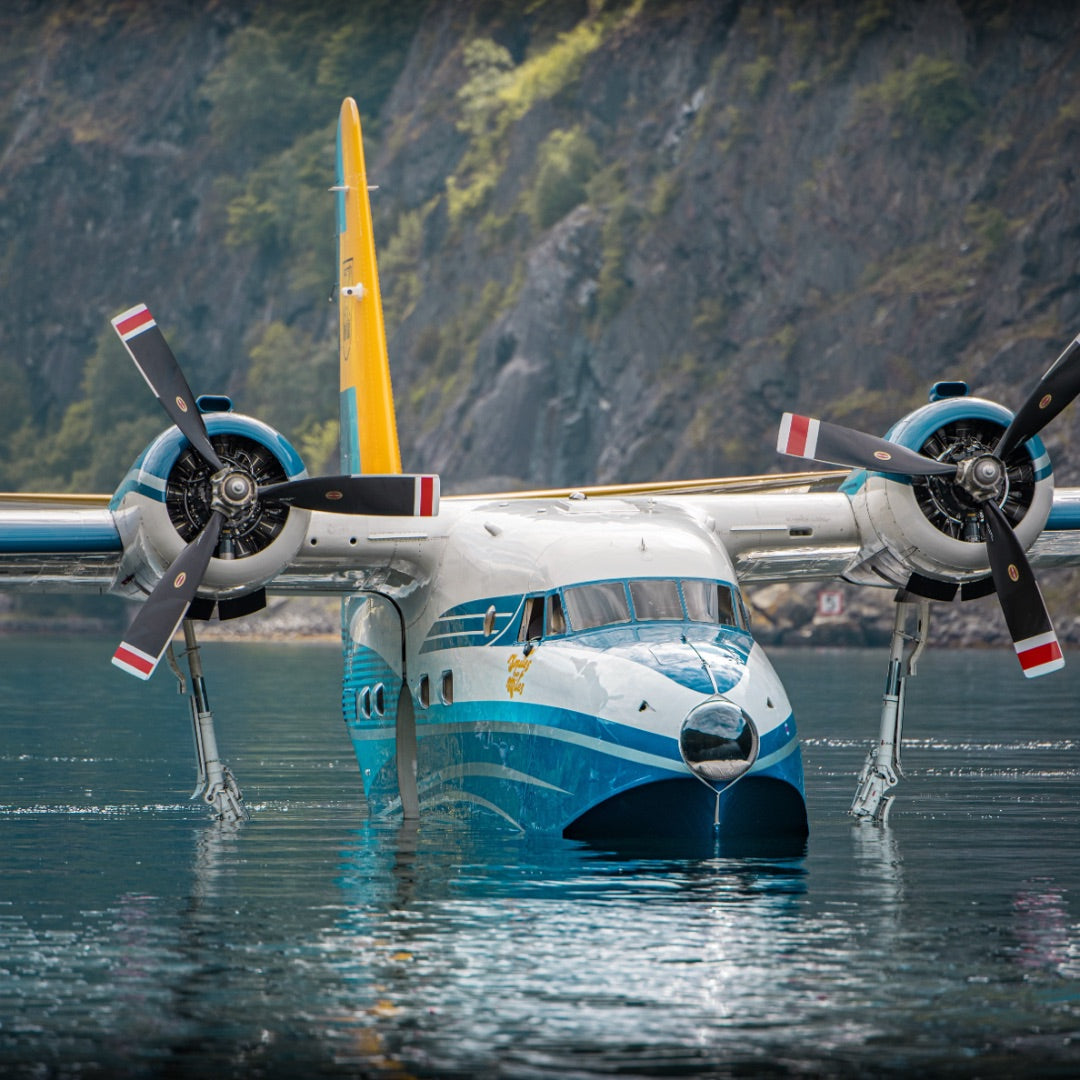 The Albatross floating on calm water beneath a cliff